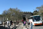 IMG_3459_1