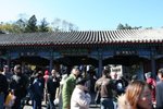 IMG_3463_1