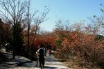 IMG_3660_1