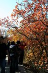 IMG_3664_1