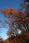 IMG_3666_1