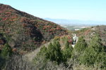 IMG_3686_1