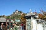 IMG_3687_1