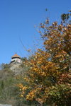 IMG_3689_1