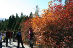 IMG_3739_1
