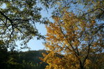 IMG_3748_1