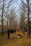 IMG_3990_1
