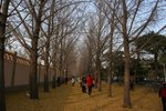 IMG_3992_1