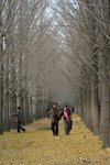 IMG_4000_1