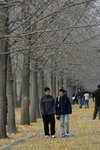 IMG_4002_1