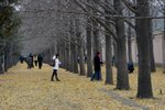 IMG_4010_1