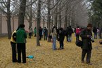IMG_4018_1