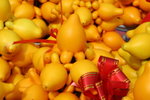 IMG_4050_1