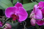 IMG_4064_1