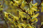 IMG_4107_1