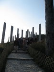 IMG_5861_1