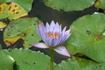 IMG_4374_1