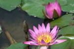 IMG_4380_1