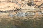 IMG_4395_1
