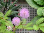 DSCN4033