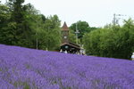 IMG_4781_1