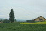 IMG_4922_1