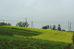 IMG_4929_1