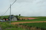 IMG_4960_1