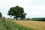 IMG_4979_1