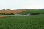 IMG_4989_1