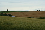 IMG_5001_1