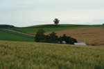 IMG_5004_1