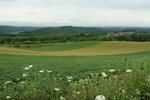IMG_5011_1