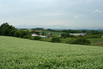 IMG_5017_1