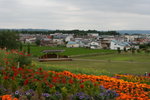 IMG_5059_1