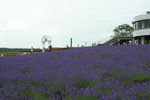 IMG_5150_1