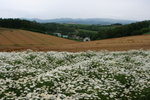 IMG_5030_1