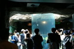 IMG_5089_1
