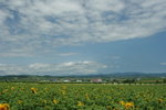 IMG_5217_1