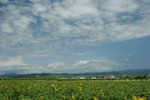 IMG_5219_1