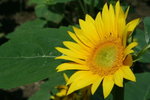 IMG_5228_1