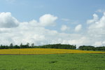 IMG_5257_1