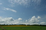 IMG_5259_1