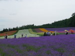 P1000562_1