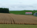 P1000806_1