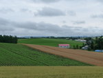 P1000815_1