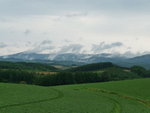 P1000848_1