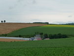 P1000856_1