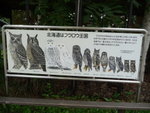 P1010139_1