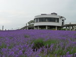 P1010220_1